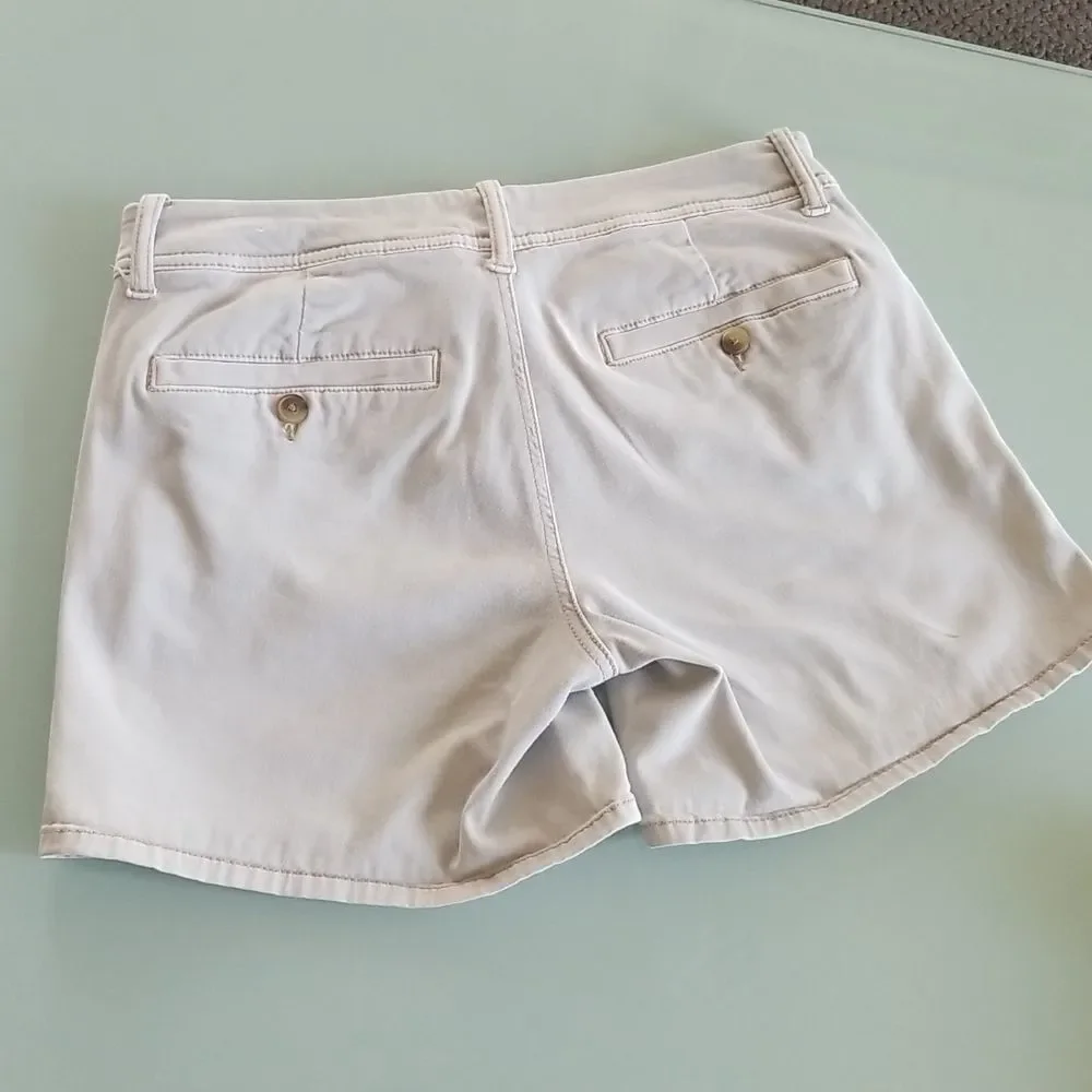 American Eagle Gorpcore Coastal Camping Hiking Retro Y2K Boyfriend Shorts Size 6